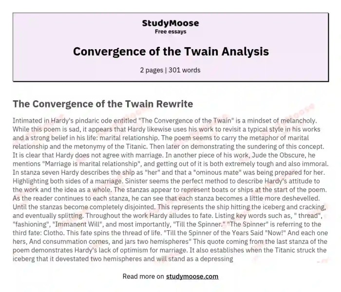 Analysis of the convergence of the twain