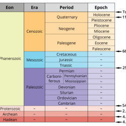 Quiz on geologic time scale