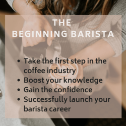 Free barista training manual pdf