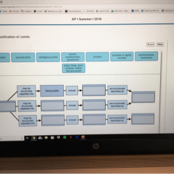 Joints concept map complete describe involved name movements synovial labels types targets common body their respective appropriate drag uniaxial answer