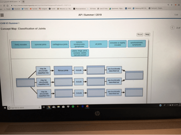 Joints concept map complete describe involved name movements synovial labels types targets common body their respective appropriate drag uniaxial answer