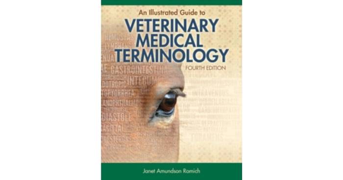 Terminology medical guide illustrated edition 2nd cengage cover copyright published