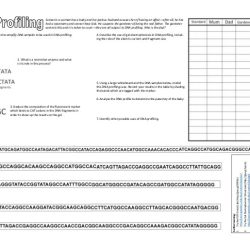 Catch the killer worksheet answer key