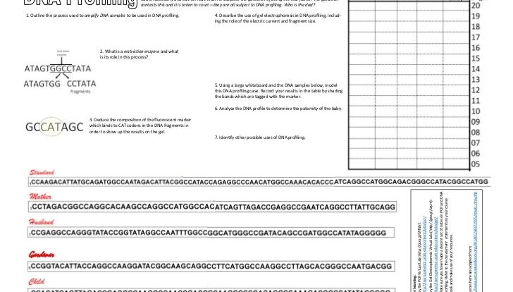 Catch the killer worksheet answer key