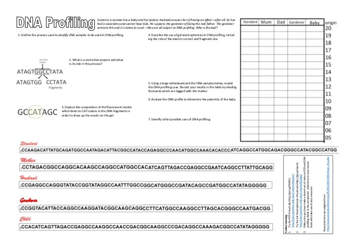 Catch the killer worksheet answer key