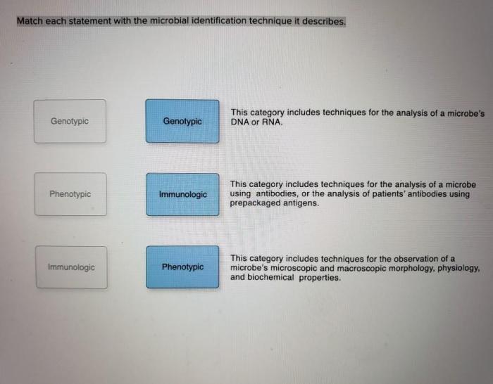 Excerpt passage describes transcription